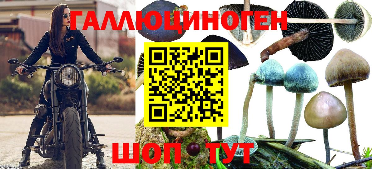 Конаково  Псилоцибиновые грибы мицелий  Вход с VPN 