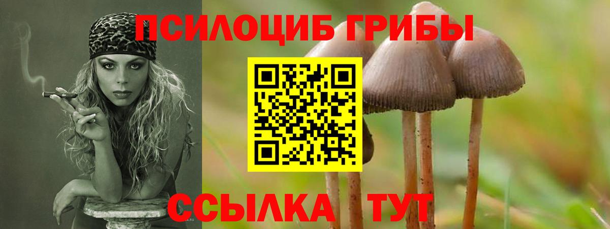 Псилоцибиновые грибы MAGIC MUSHROOMS Конаково
